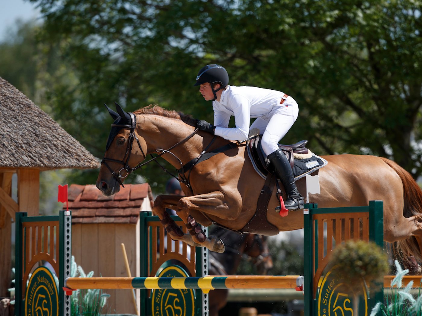 Anthony Phjlippaerts & Goofy v/h Laerhof - BK Scholieren Azelhof