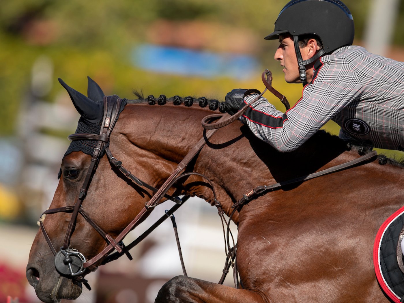 Nicola & J'Adore van het Schaeck - Barcelona