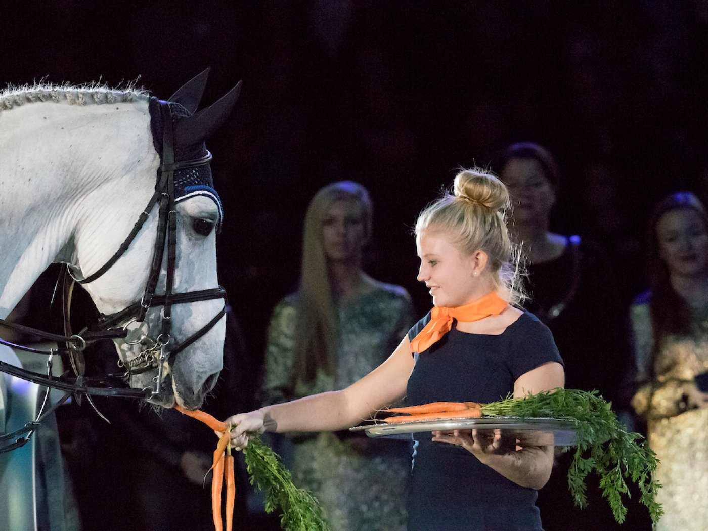 Zilverstar T - Longines Trophy GP of Maastricht 2016