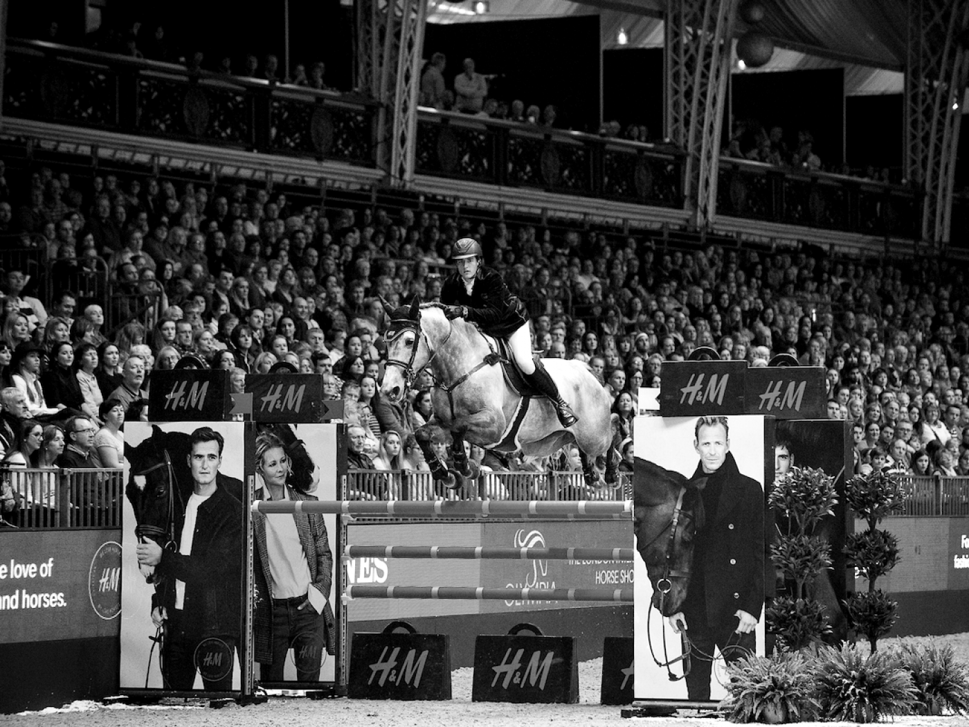 Nicola Philippaerts and H&M Harley vd Bisschop - Olympia Horse Show 2016 Nicola Philippaerts and H&M Harley vd Bisschop - Olympia Horse Show 2016
