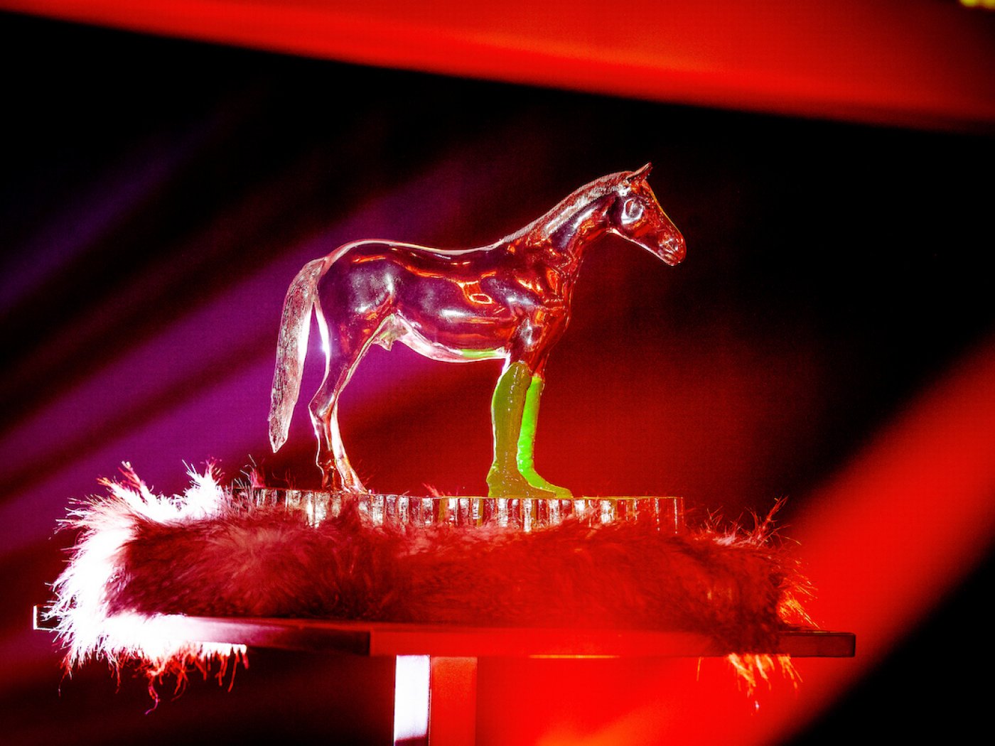 Equi trophy 2019 (By William Sweetlove)