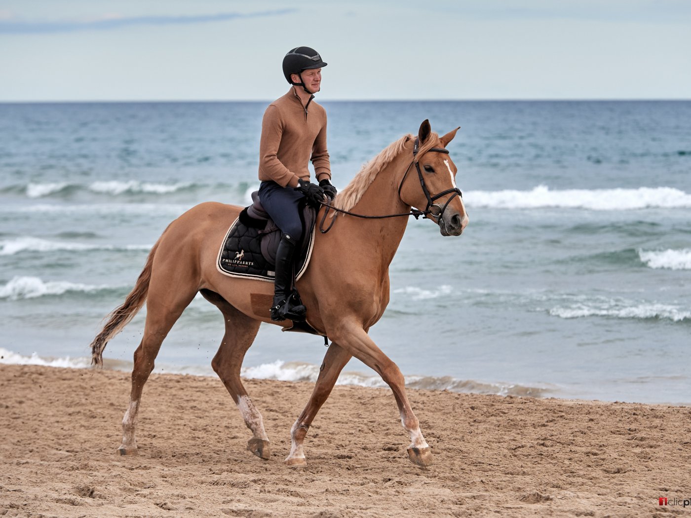 Aqaba de l'Éau en Stijn Timmerman in MET Oliva 2019