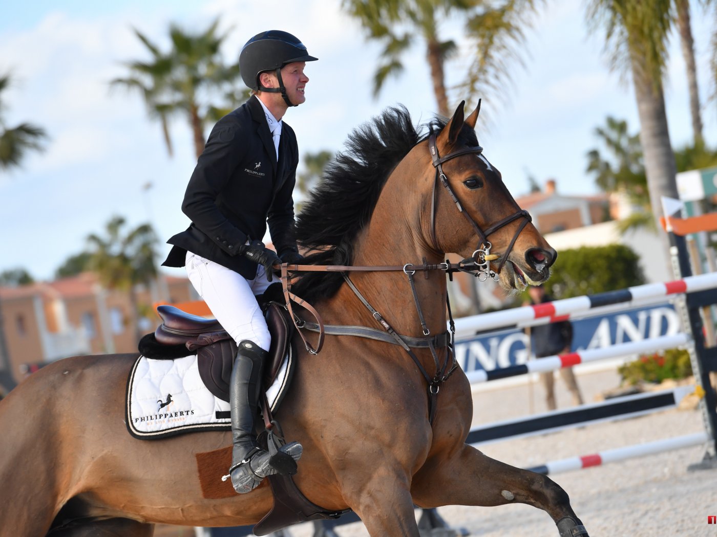 Sanvaja en Stijn Timmerman in MET Oliva 2019