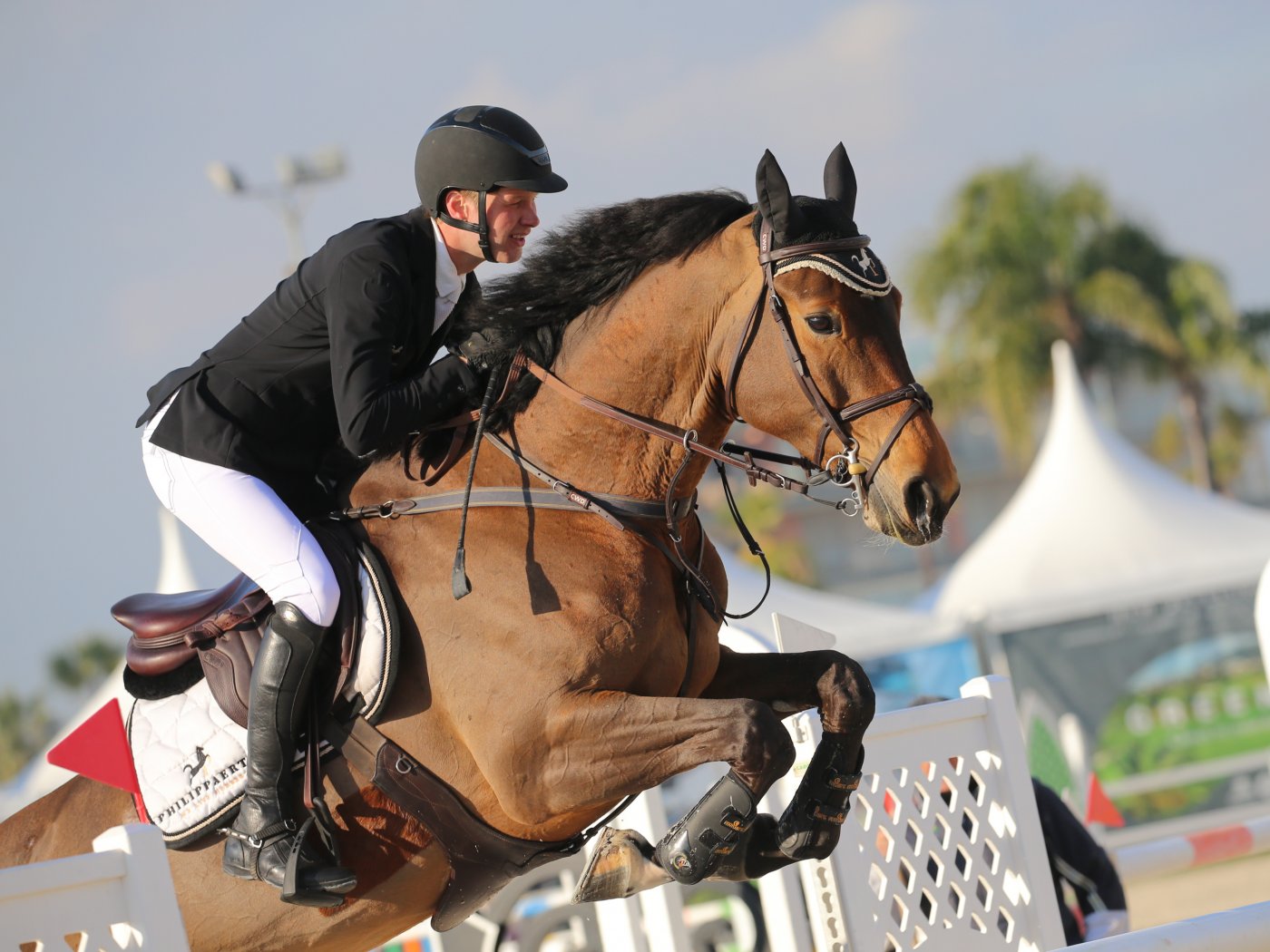 Sanvaja en Stijn Timmerman in MET Oliva 2019