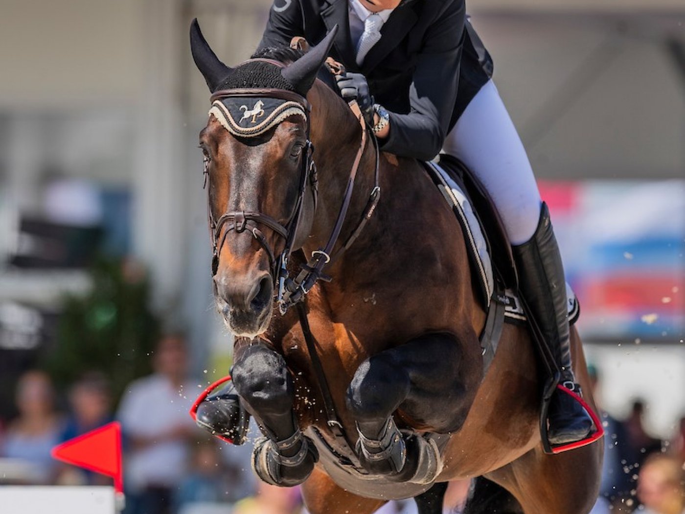 Anthony & Forever d'Arco Ter Linden - 2019