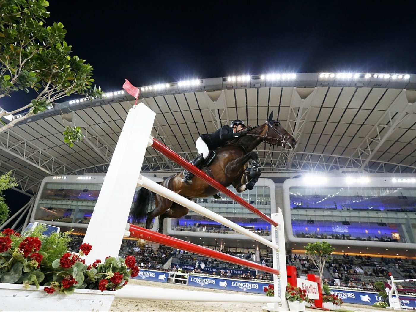 Nicola & Katanga v/h Dingeshof - 2nd in the GP of Doha 2020