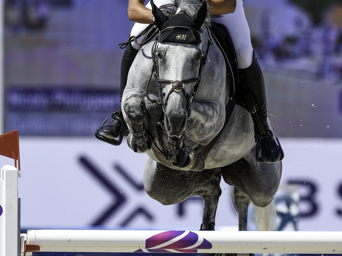 Nicola Philippaerts met Curious Friday