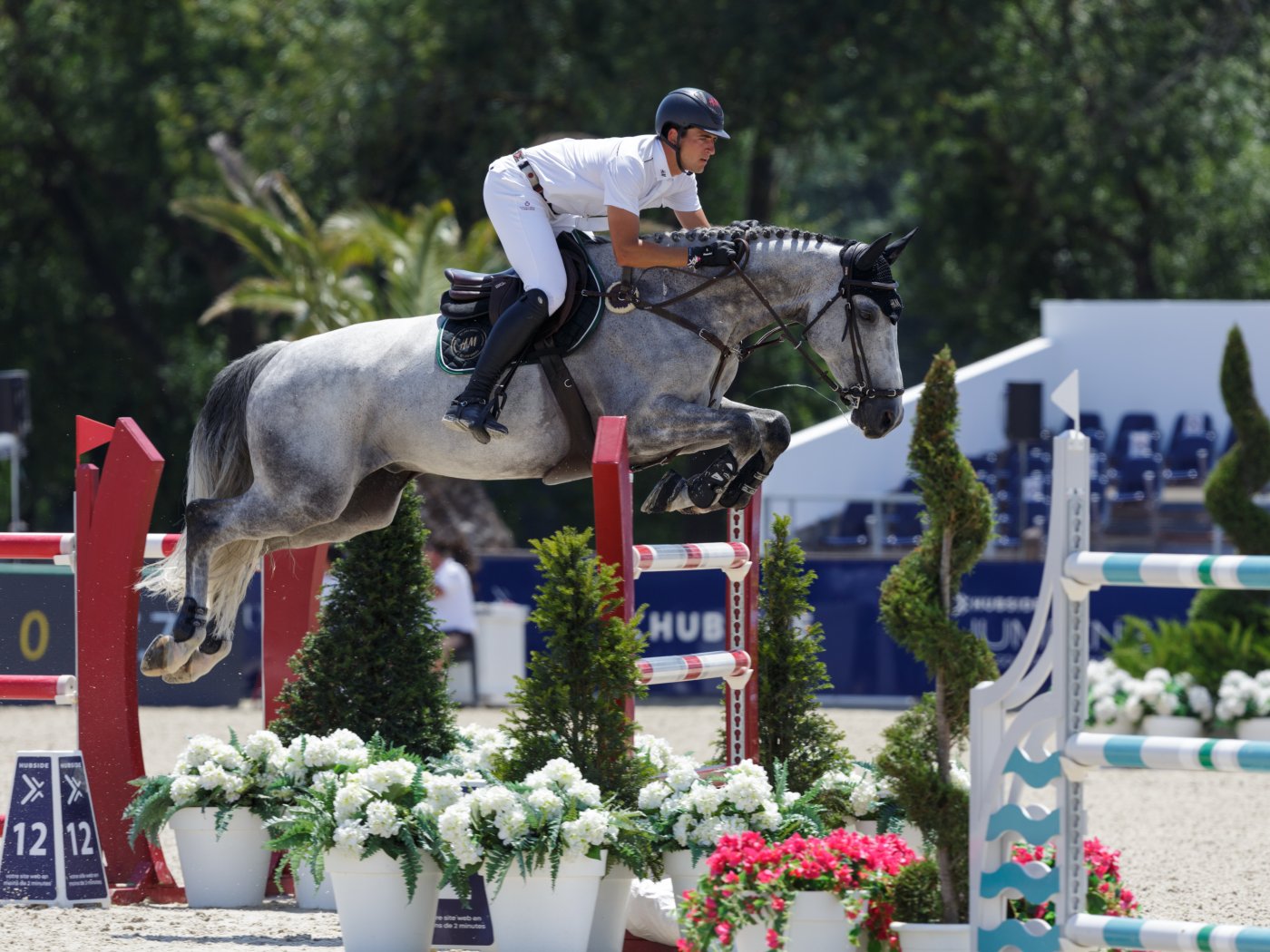 Nicola Philippaerts met Zayado