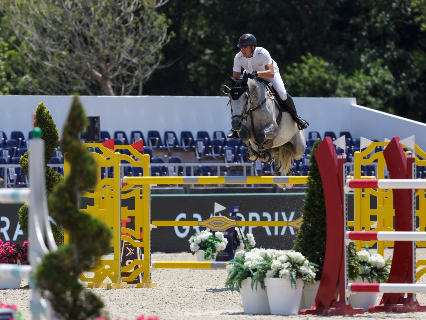 Nicola Philippaerts met Zayado