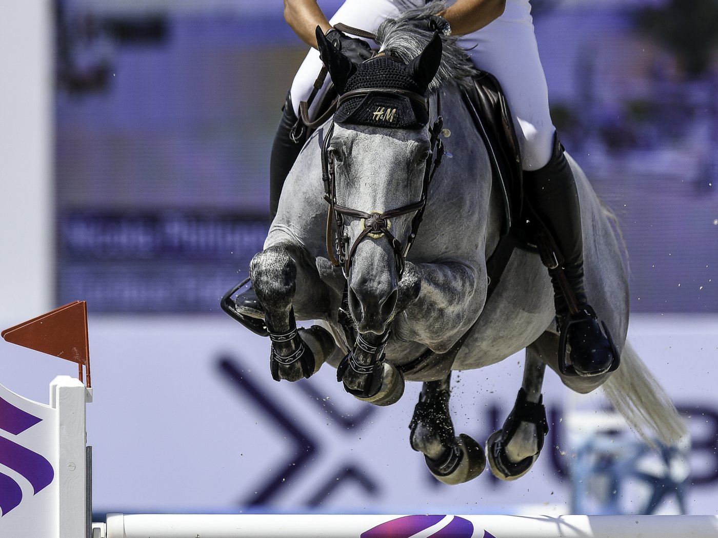 Nicola and Curious Friday - CSI 5* Hubside Jumping Saint-Tropez ©️Hubside Jumping