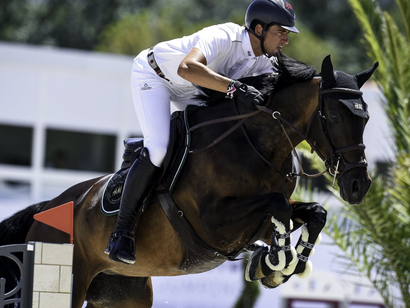 Nicola and Katanga v/h Dingeshof - ©Hubside Jumping Nicola and Katanga v/h Dingeshof - ©Hubside Jumping