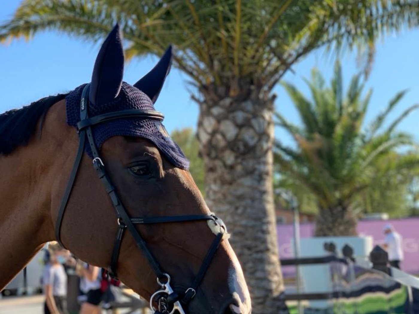 Hubside Jumping -  St Tropez, Grimaud FR