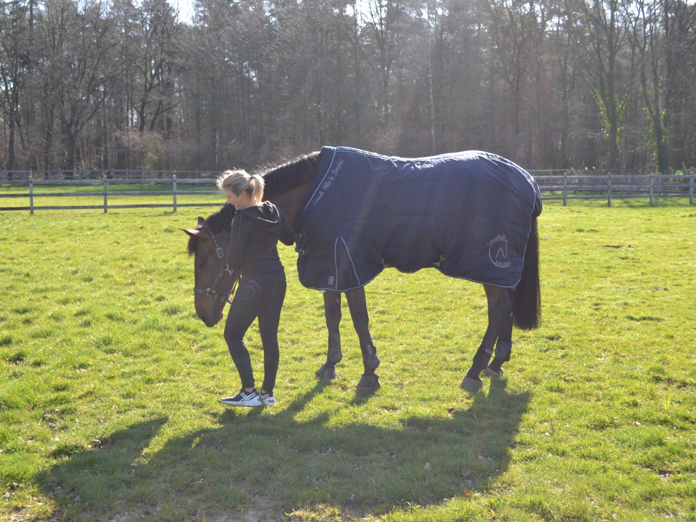 Grooming duties - taking care of the horses with love