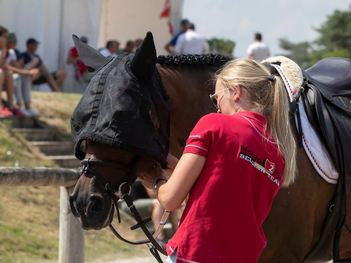 Grooming duties - assistance on competitions Grooming duties - assistance on competitions