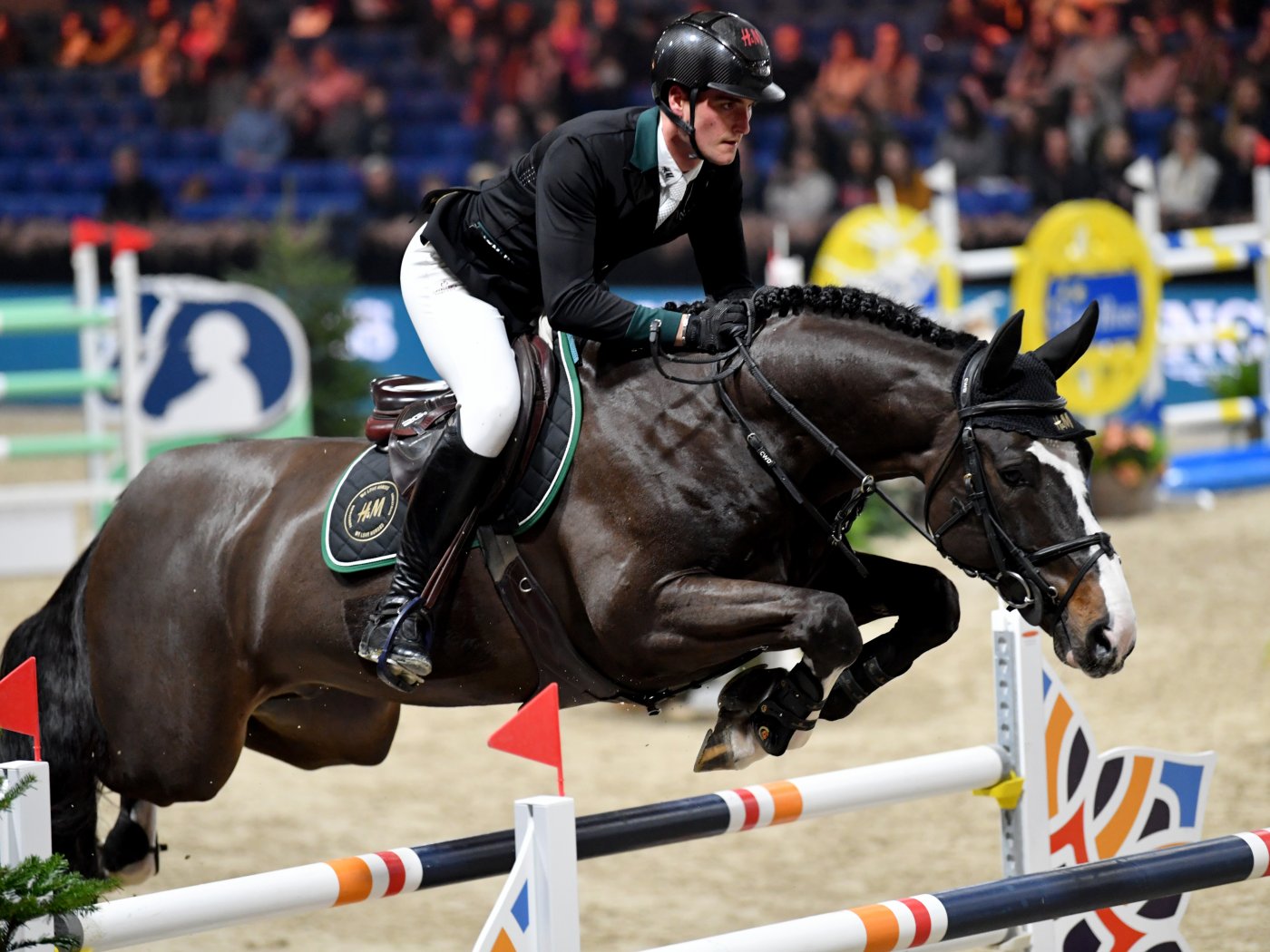 Olivier met Le Blue Diamond van't Ruytershof
