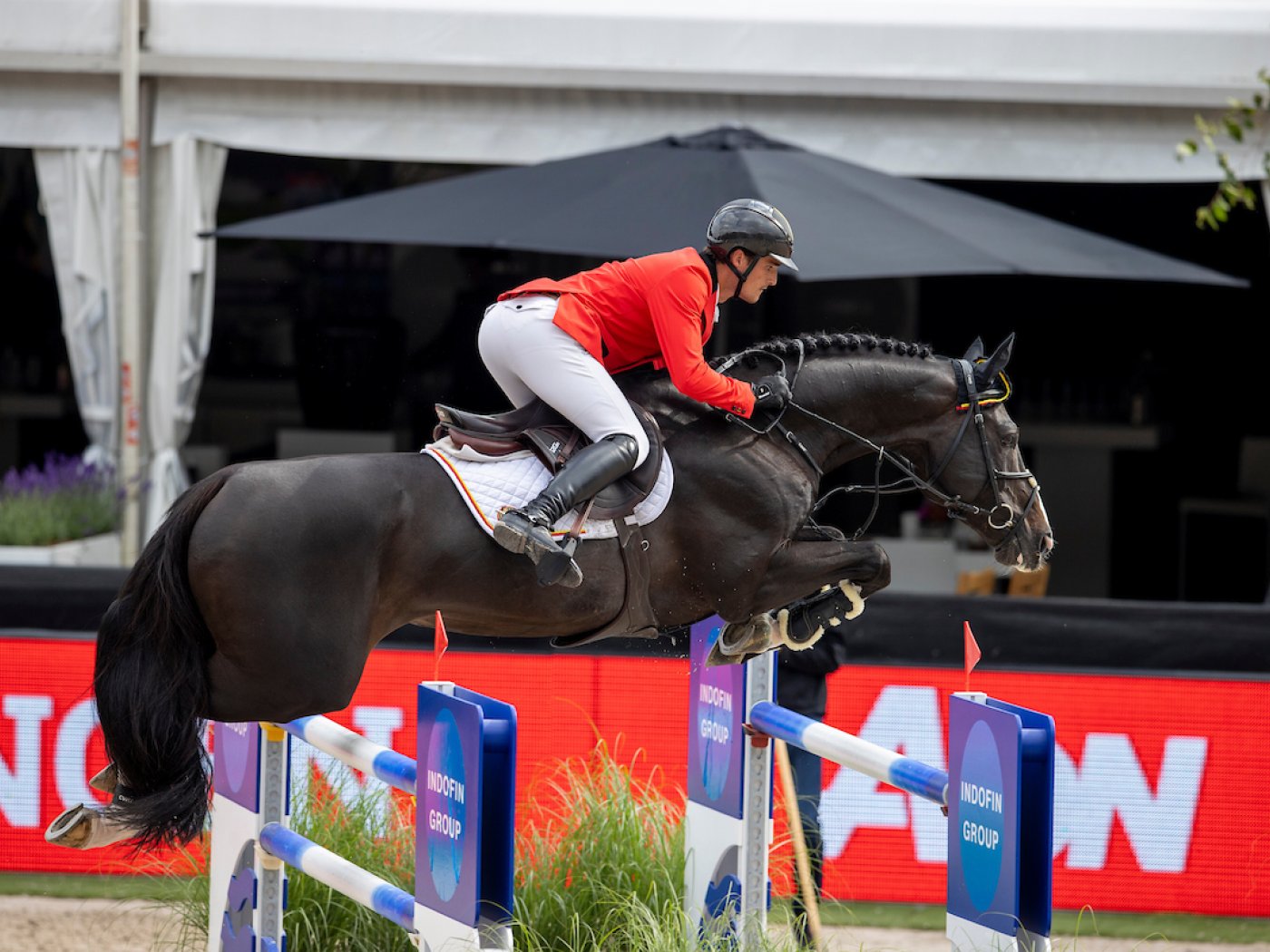 Olivier and Le Blue Diamond van 't Ruytershof - CHIO Rotterdam 2021 Olivier and Le Blue Diamond van 't Ruytershof - CHIO Rotterdam 2021