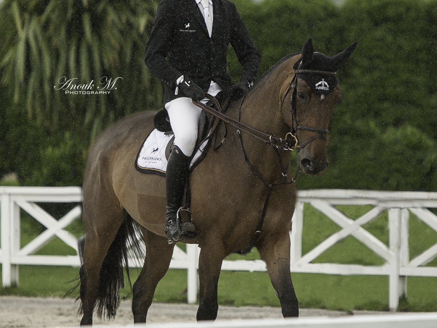 Knokke Hippique Summer Circuit 2021 - Thibault Philippaerts & Delphi M Z ®Anouk Meessens