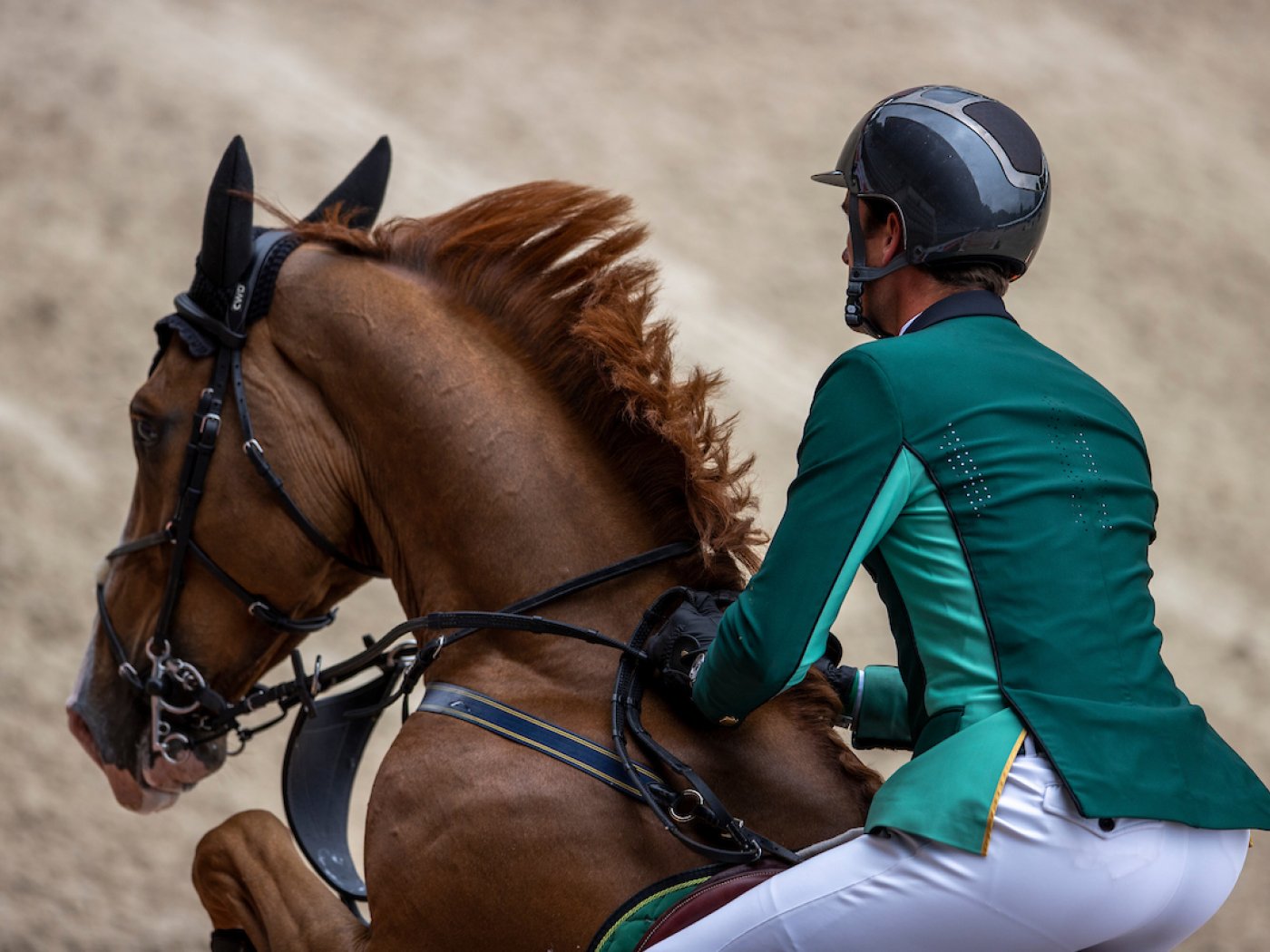 Olivier & Miro - 2021