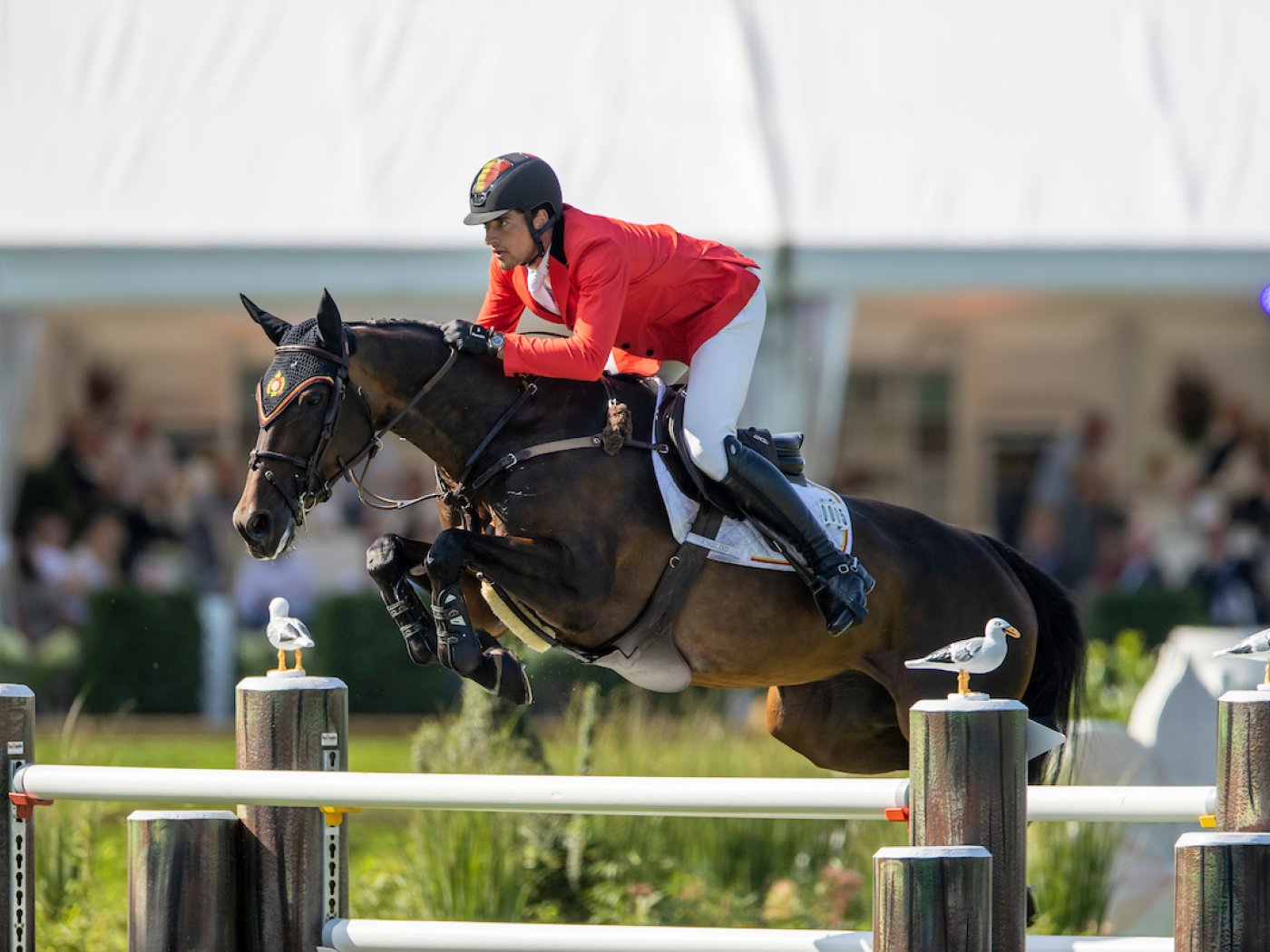 Nicola and Katanga v/h Dingeshof - European Championships Riesenbeck 2021